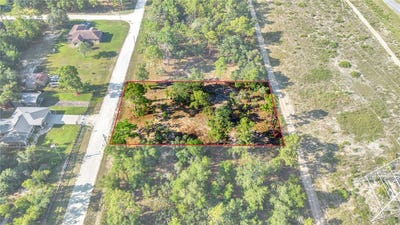 /international/us/0-condor-road-brooksville-fl-110109112425/