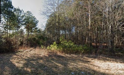 /international/us/claude-jackson-35-aliceville-al-110107927359/