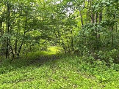 /international/us/-holly-hill-road-rimersburg-pa-110119439606/