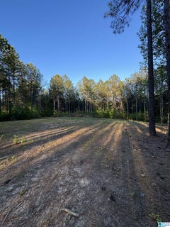 /international/us/218-foxtail-path-lot-11-f-westover-al-110108498599/