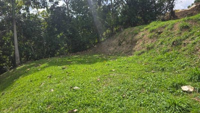 /international/pr/bo-las-palmas-carr-140-int-ent-los-ramos-sector-lafontaine-utuado-utuado-110106093601/