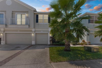 /international/us/8546-great-egret-trace-new-port-richey-fl-110101834504/