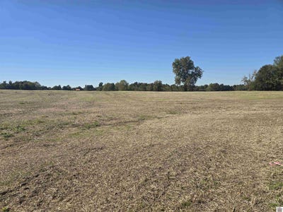 /international/us/n-state-route-295-lot-tract-iv-kuttawa-ky-110103360635/