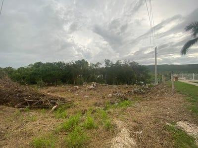 /international/us/san-jacinto-guanica-pr-110080704890/