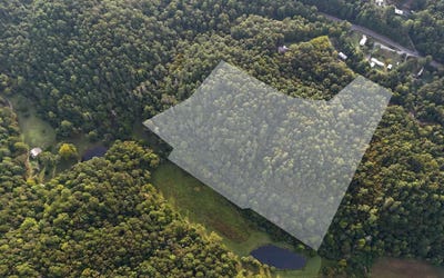 /international/us/lot-8-murphy-lane-mineral-bluff-ga-110100842776/?lang=zh-cn