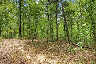 /international/us/timber-ridge-lane-phase-ii-lot-23-celina-tn-110110355904/