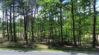 /international/us/726-goucher-green-bethel-rd-gaffney-sc-110108917886/