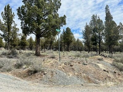 /international/us/mt-quail-grizzley-alturas-ca-110093997598/