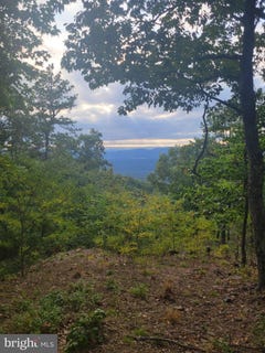 /international/us/nathaniel-mt-road-lot-337-moorefield-wv-110109870093/