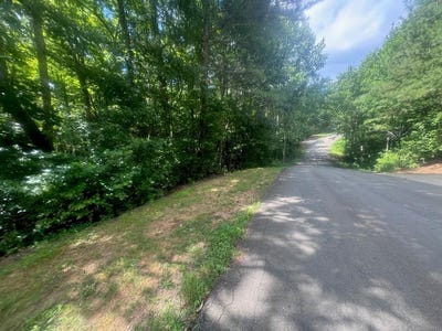 /international/us/lot-36-hampton-farms-trail-jasper-ga-110101051650/