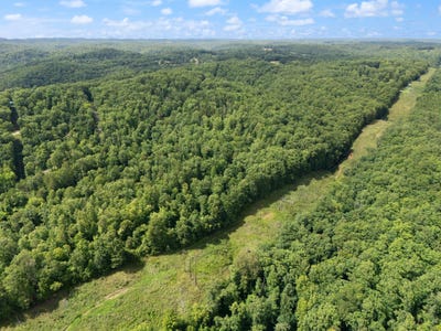 /international/us/2401-bell-point-road-beattyville-ky-110101852009/