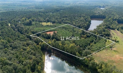 /international/us/county-rd-51-greensboro-al-110105345009/