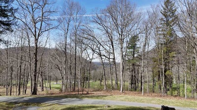 /international/us/61-62-old-course-trl-hot-springs-va-110107078600/
