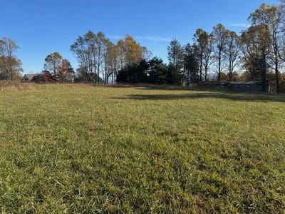 /international/us/rhododendron-rd-lot-4011-2-54-bc-hillsville-va-110103337147/