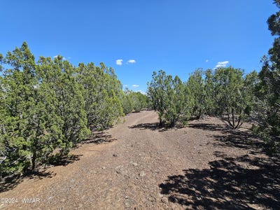 /international/us/1259-kb-ranch-road-show-low-az-110101480731/
