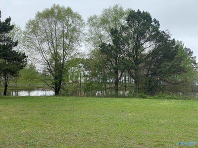 /international/us/lot-302-main-street-pisgah-al-110089435998/?lang=zh-cn