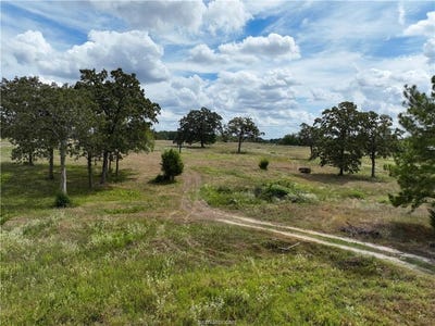 /international/us/6275-county-road-206-plantersville-tx-110120081104/