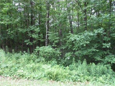 /international/us/lot-99-woods-avenue-birchwood-wi-110101003279/?lang=zh-tw