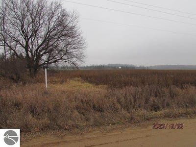 /international/us/tbd-e-millbrook-road-mt-pleasant-mi-110088914352/?lang=zh-cn