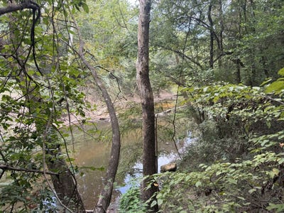 /international/us/18500-brooklyn-rd-evergreen-al-110120082431/