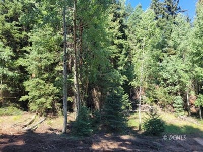 /international/us/lot-45-pinon-dr-duck-creek-village-ut-110096899557/