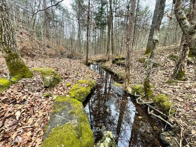 /international/us/tomahawk-slab-road-saint-joe-ar-110108250557/