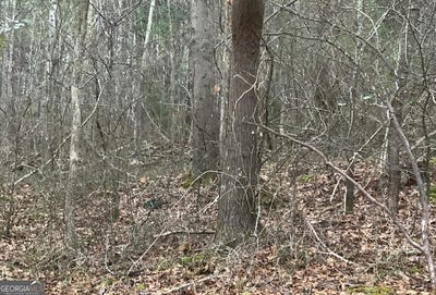 /international/us/280-nixon-summerville-ga-110101013896/