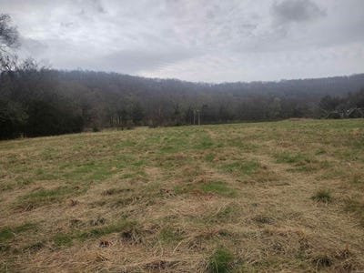 /international/us/tract-4-hwy-14-e-mountain-view-ar-110106564949/