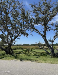 /international/us/lot-22-belle-fontaine-drive-ocean-springs-ms-110101268352/?lang=zh-cn