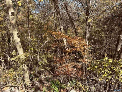 /international/us/4611-legacy-preserve-way-se-brownsboro-al-110089407064/