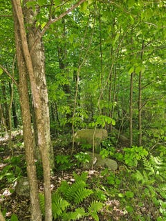 /international/us/n12379-red-rock-rd-silver-cliff-wi-110108819671/