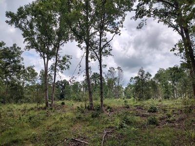 /international/us/00576-red-hill-road-edgefield-sc-110100973763/