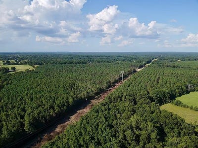 /international/us/0000-county-road-1114-maud-tx-110101347048/?lang=en