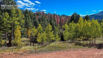 /international/us/136-gold-crown-circle-cripple-creek-co-110120015488/