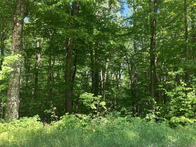 /international/us/30-upper-howes-way-wilmington-vt-110100995915/?lang=zh-cn