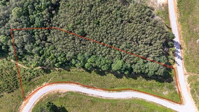 /international/us/saddleback-road-dunlap-tn-110104881734/