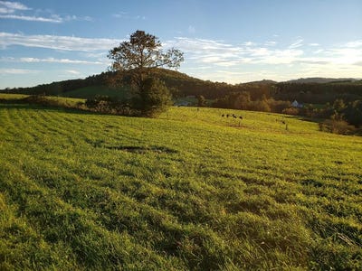 /international/us/tbd-crestview-mountain-dr-lot-44-ennice-nc-110035674441/