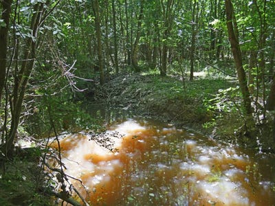 /international/us/000-cr-14590-pattonville-tx-110099644296/
