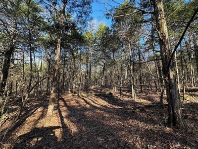 /international/us/2299-lone-star-road-upton-ky-110096498248/