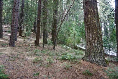 /international/us/6-pine-tree-court-lot-12-blairsden-ca-110065643988/