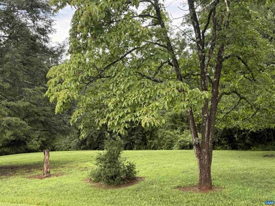 /international/us/850-tbd-emerson-dr-lot-059c1-02-00-03000-charlottesville-va-110120862133/