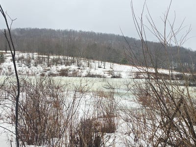 /international/us/0wp-up-county-rd-westford-ny-110106297807/