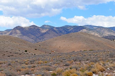 /international/us/painted-horse-road-lot-7-san-antonio-nm-110107549669/