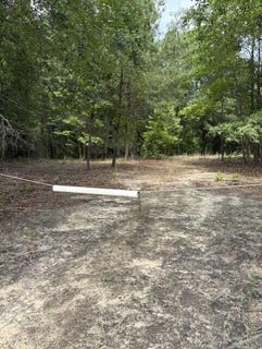 /international/us/cemetery-road-elko-sc-110108440967/