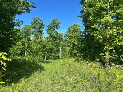 /international/us/cth-g-lot-11-pelican-lake-wi-110108497645/