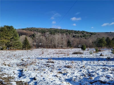 /international/us/0-mary-brown-hill-road-laurens-ny-110096528232/?lang=zh-tw