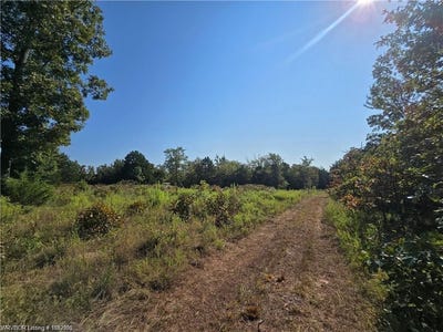 /international/us/470997-e-1020-rd-sallisaw-ok-110110308484/