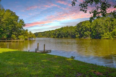 /international/us/132-ash-hill-drive-eutawville-sc-110100468569/