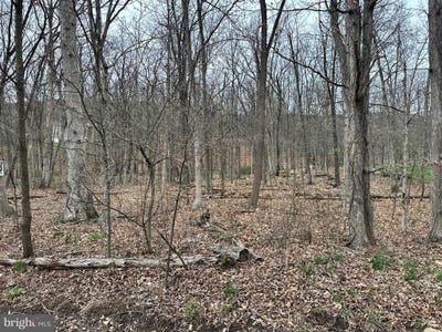 /international/us/timberlake-estates-lot-27-new-creek-wv-110099019468/