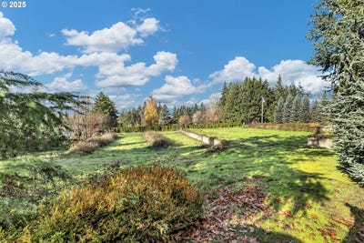 /international/us/601-s-park-st-carlton-or-110103759675/